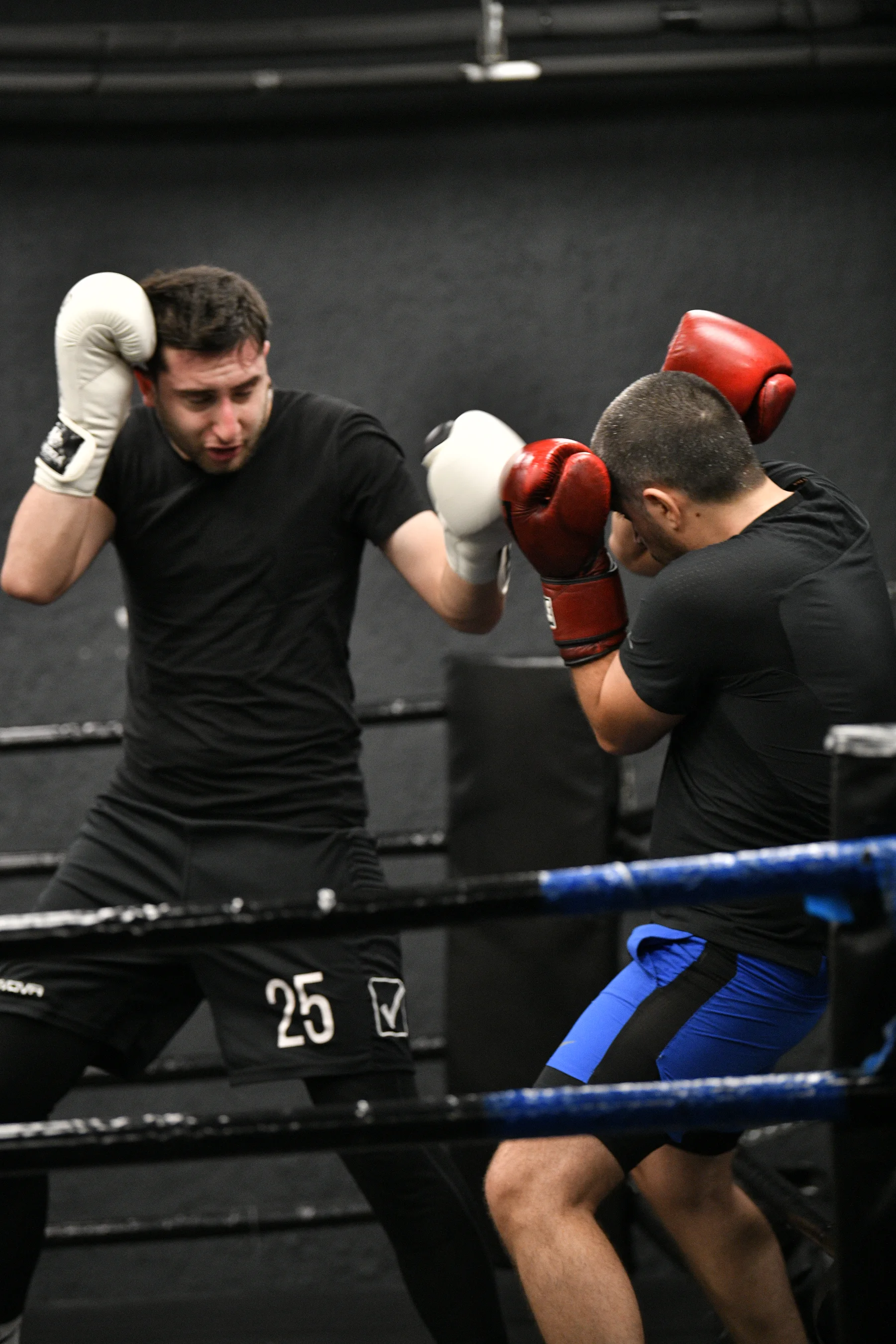 Archive photo: Adult boxers sparring in the Gymnasia ring